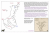 sea20 bri03 auckland island_thumb.gif
